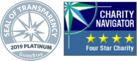 2019 GuideStar + CN logos