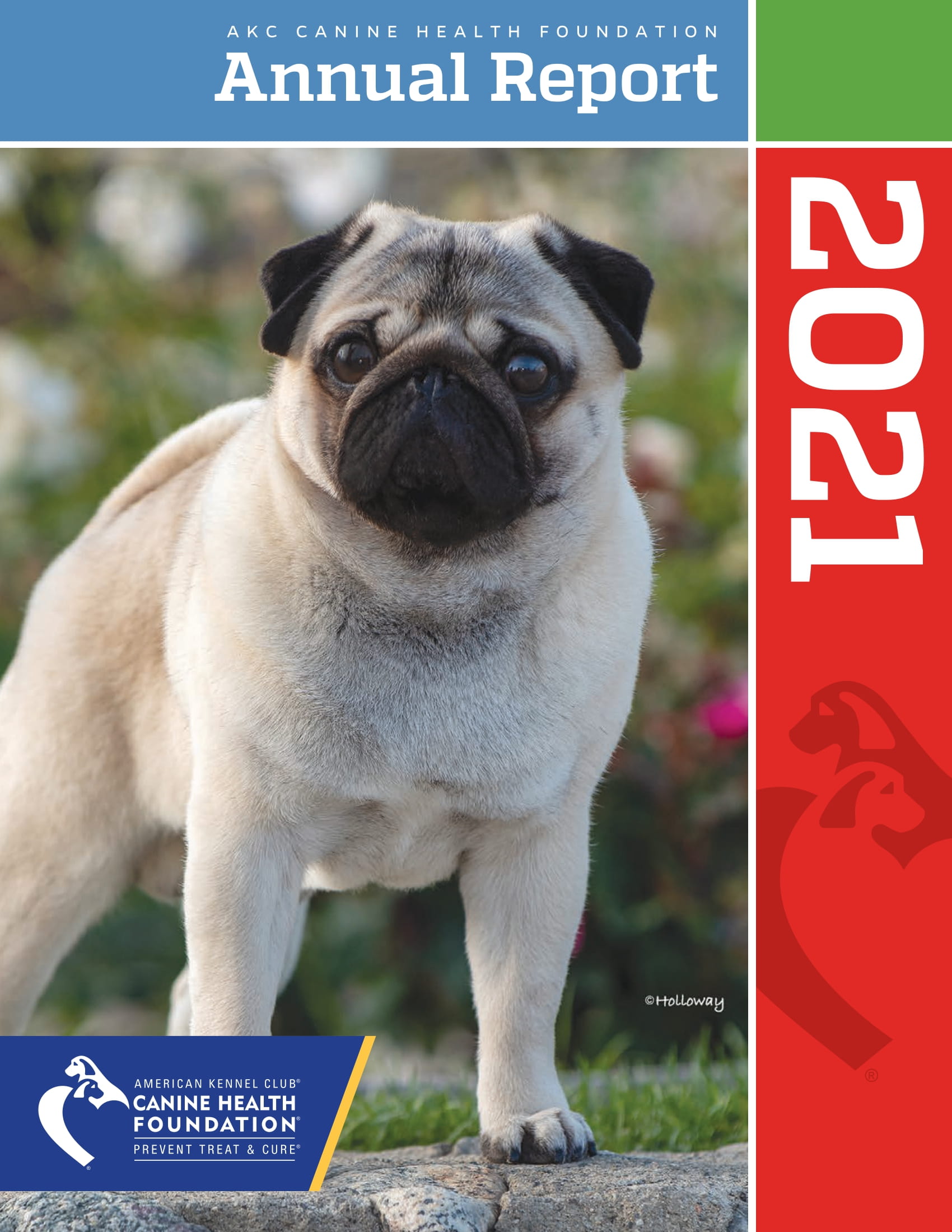 CHF 2021 Annual Report cover