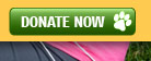 Podcast Donate Now Banner Button