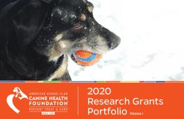 AKC CHF 2020 Research Grants Portfolio
