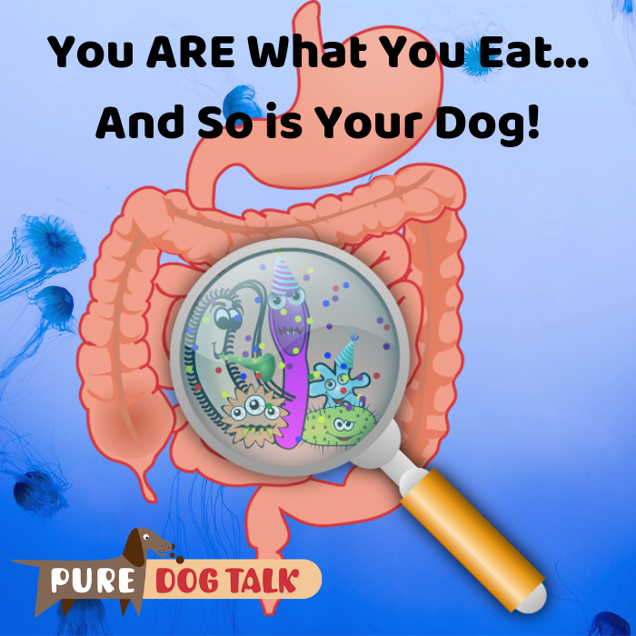 Pure Dog Talk microbiome