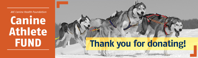 Canine Athlete Fund Thank You Banner